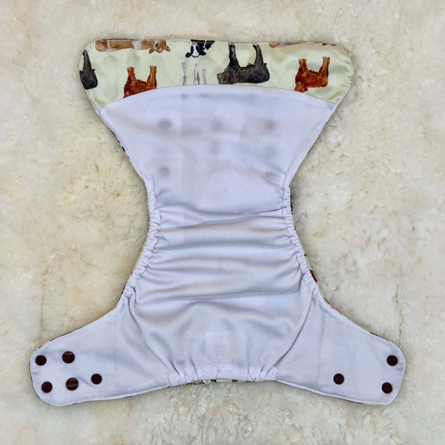 Sweet Cheeks Cows AWJ Pocket Diaper