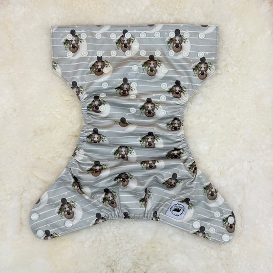 Teddy Tails Platypus Stripes AWJ Pocket Diaper