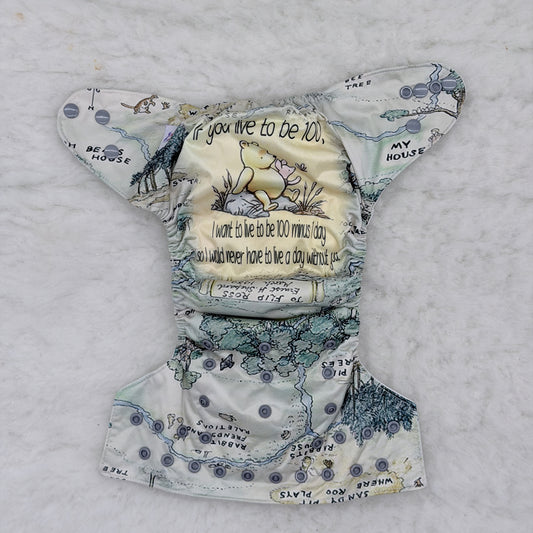 K&A Designs Hundred Acre Wood Map All-in-One Cloth Diaper