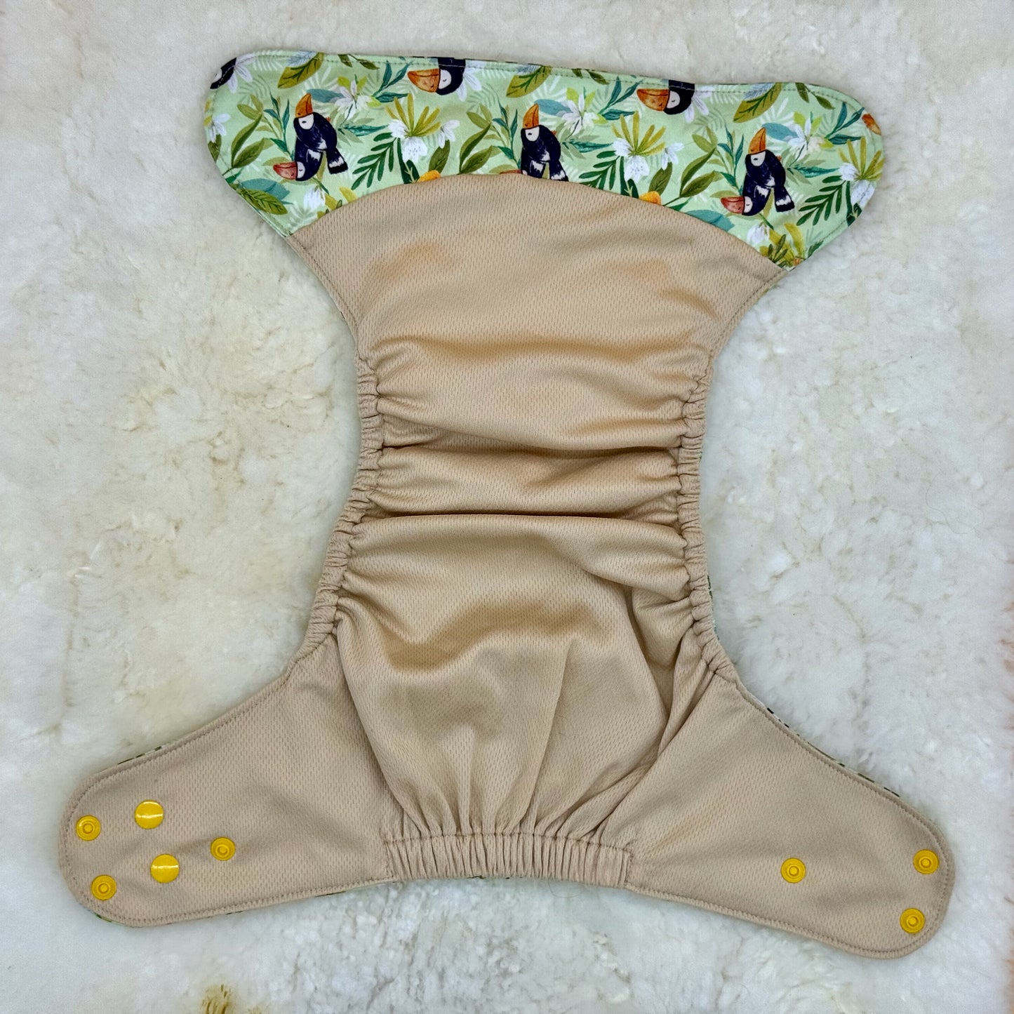 Emerald Cloth Co Rainforest Toucan Palm Tree AWJ Pocket Diaper
