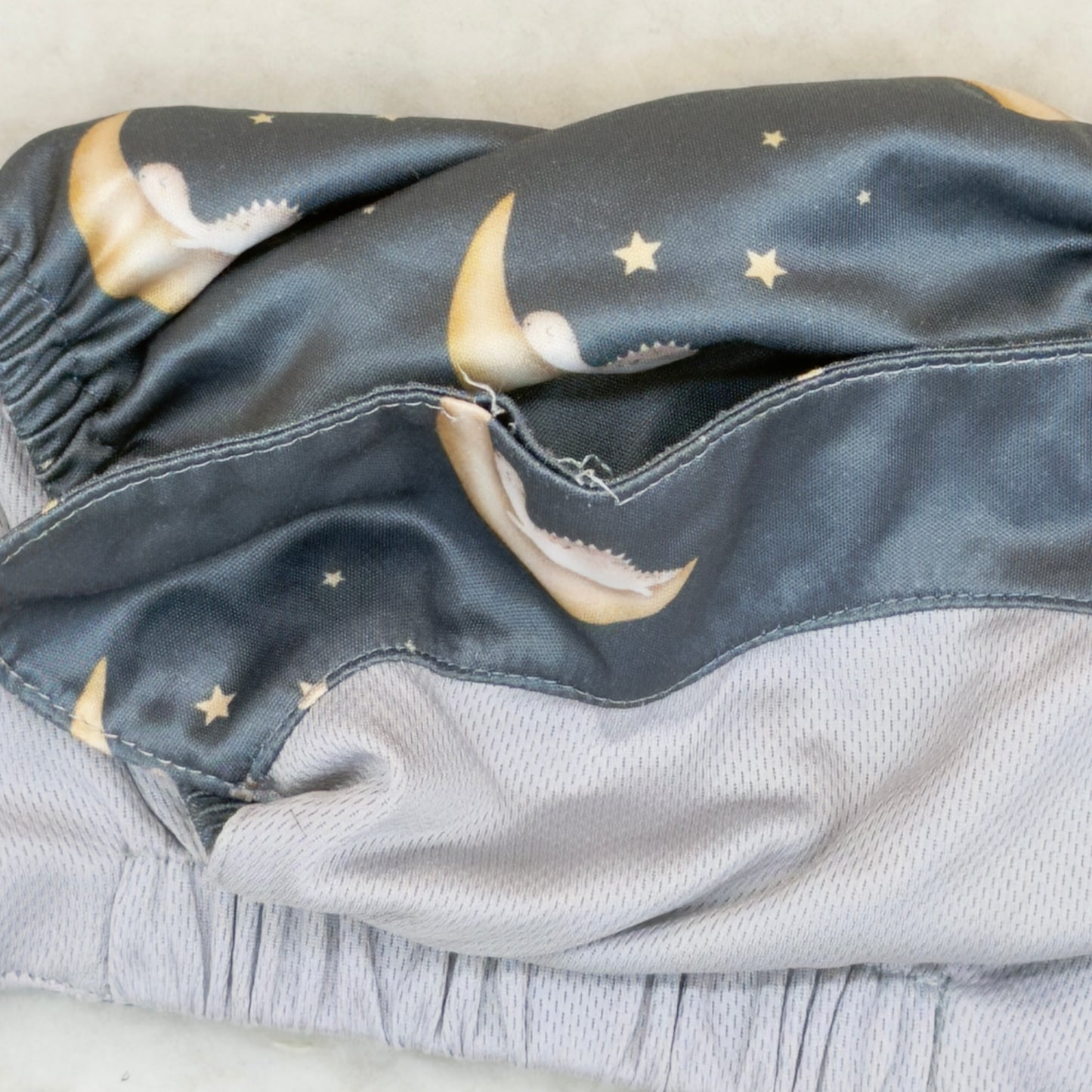 Wickham Wild Dinosaur Moons AWJ Pocket Diaper - Imperfect, Stained