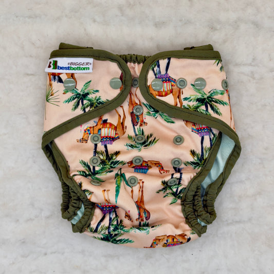 Best Bottom Bigger Caravan Camel Palm Trees Cover